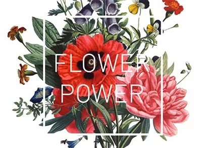 Flower power foto web
